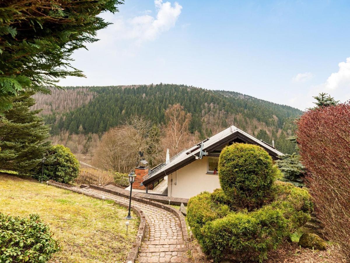 Majestic Holiday Home With Jacuzzi Unterschönau 外观 照片